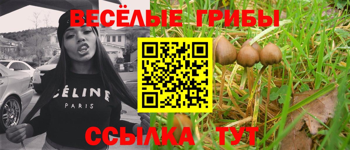 Галлюциногенные грибы мухоморы  Псилоцибиновые грибы GOLDEN TEACHER  Богданович  Вход с VPN 
